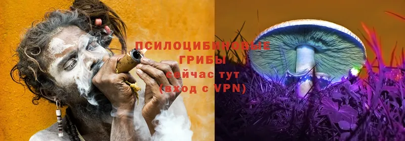 Галлюциногенные грибы ЛСД  Мураши 